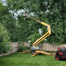 Best Weed Control  in Shortsville, NY
